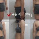 프로젝트짐 이미지