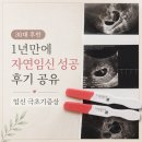 자연유통 - 경주시 | 30대 후반 1년 만에 자연임신 성공 후기 공유 & 임신 극초기 증상
