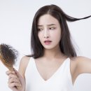 모블리스 이미지