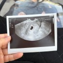 다이소부천원미시장점 | [공지] 부천에서 가족과 함께한 두 번째 임밍아웃 케이크 &amp; 식당 후기