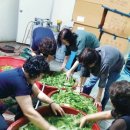 금광2동 행정복지센터 이미지