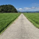 두루미 농원 이미지