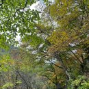 와선대화장실 이미지