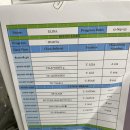 필리핀 어학연수 Week 1