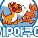 VIP아쿠아카페 네이버블로그
