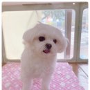동암동물병원 이미지