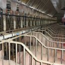 봉동2농장 이미지