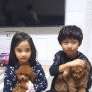 개예쁨 이미지