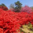 완산동주민센터화장실 이미지