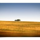 토정축산 이미지