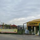 카페험프리즈 이미지