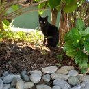 토박이시골집 이미지