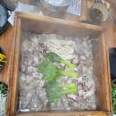 편백가든 이미지