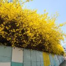 대현초등학교 이미지