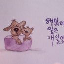 장터보리밥 이미지