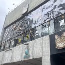 야옹아놀자(동성로점) 이미지