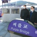 전라남도 신안군 안좌면 퍼플교 이미지