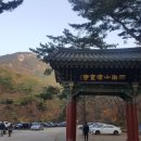 산들애 보리밥 이미지