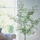 올리브나무 - 성남시 중원구 은행로7번길 24 | 올리브나무