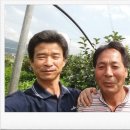 김종옥농장 이미지