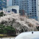 2024-03-0065 - 부여군 | 2024-03-0065