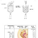 혼합가스의 폭발범위, 인화점, 발화점, 연소점,열축적, 임신, 여자, 위험도,보지,프로판, 부탄, 아세틸렌,수소, 암모니아, 에틸렌, 에탄, 혼합가스 이미지