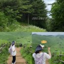 공영 교차로 ~ 외암교차로 방향 | 정선 민둥산 최단코스 후기- 등산정보, 주차장, 소요시간, 준비물