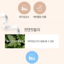 컷앤컷 이미지