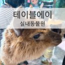 씨유 연수사랑가득점 | 아이와 함께한 가족간의 특별한 체험 테이블에이 인천 연수 실내 동물원