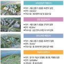 미사 로얄팰리스 이미지
