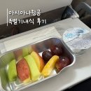 유당구클럽 - 양주시 부흥로 2152-4 | [아시아나항공] 특별 기내식 - 과일식 FPML & 동양식 채식 VOML 이용 후기 (인천-나고야)