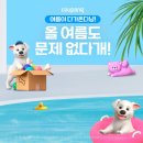 두바이치킨호프 이미지