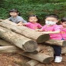 자연동산어린이집 네이버블로그