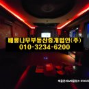 이비자 노래연습장 이미지