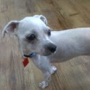 쿠키당구장 이미지