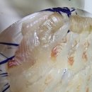 광어의전설 | 동두천 광어의 전설 포장 리뷰 – 광어회는 만족, 물회는 조금 아쉬움