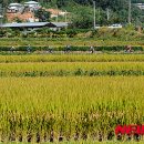 (주)들녘 이미지