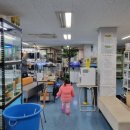 젊은열대어 이미지