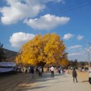 탄벌공인중개사사무소 이미지