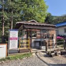 펜션 다알리아 이미지