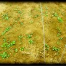 연동농장 이미지