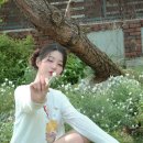 퍼펙트광고