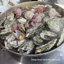 거제 굴 구이 맛집 ?-(원조거제굴구이 vs 거제해송원조굴구이)리뷰