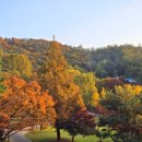 원미공원 이미지