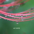 아름다운상사 이미지