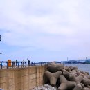 천곡방파제 이미지