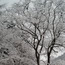 문학! 영원한 현재진행형 , 1983년 강원일보 신춘문예 시 당선! 이미지