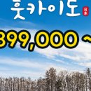 오렌지투어여행사 이미지