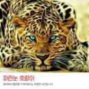 산골마당 이미지