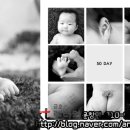 스튜디오쁘띠베베